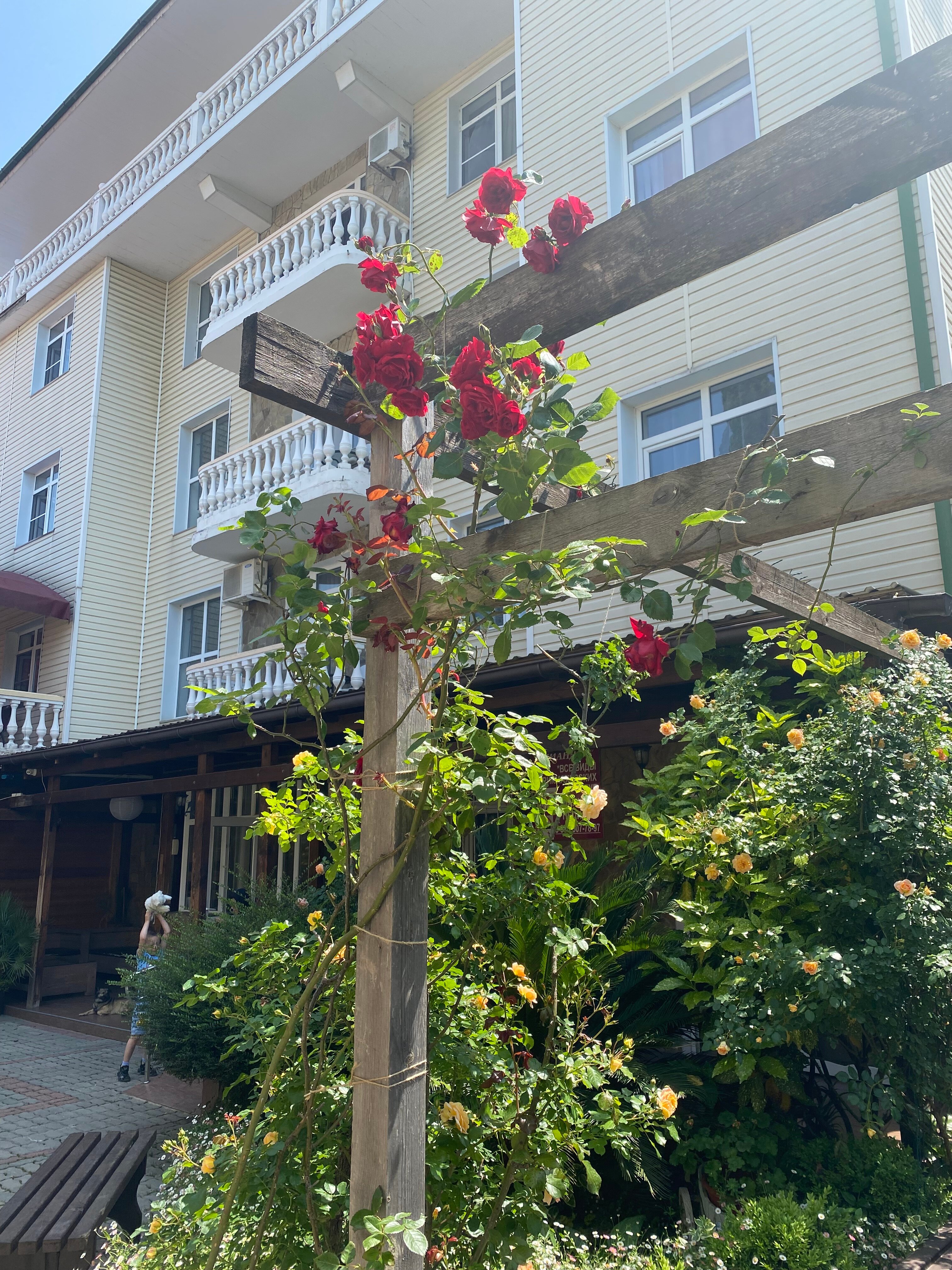 Фото Имеретинский романтик