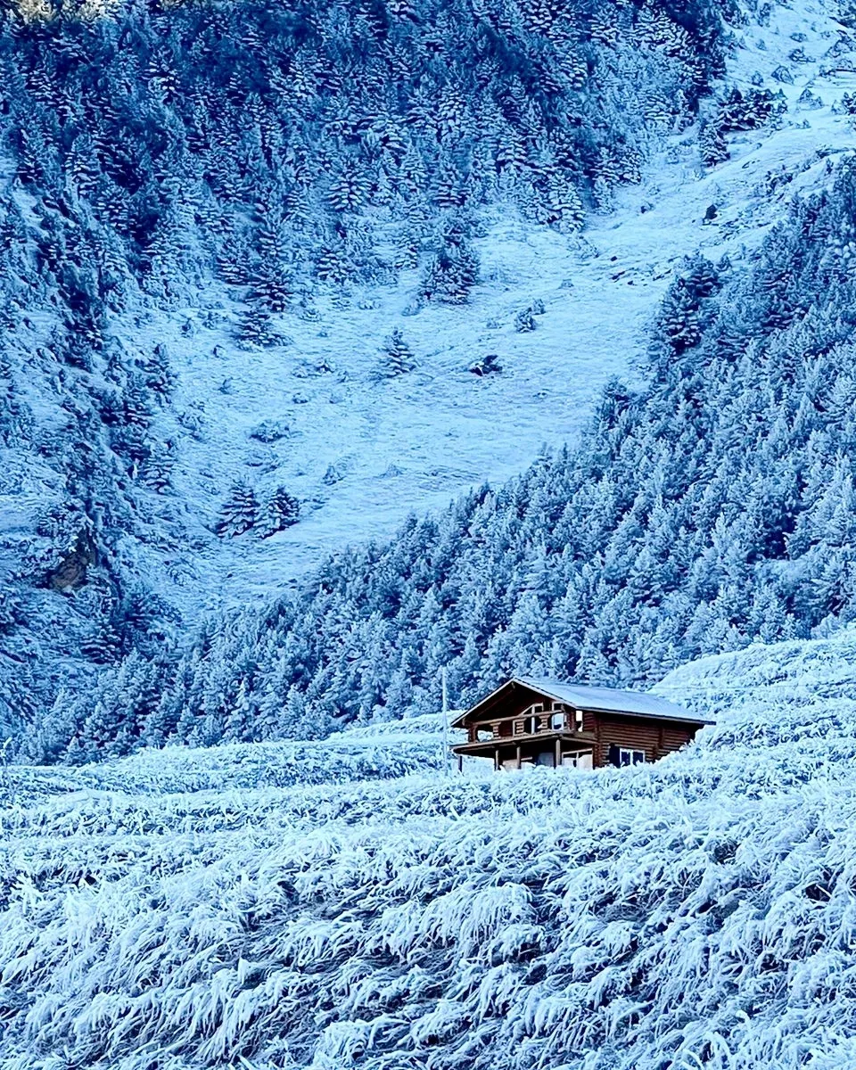 Фото Орлиное гнездо