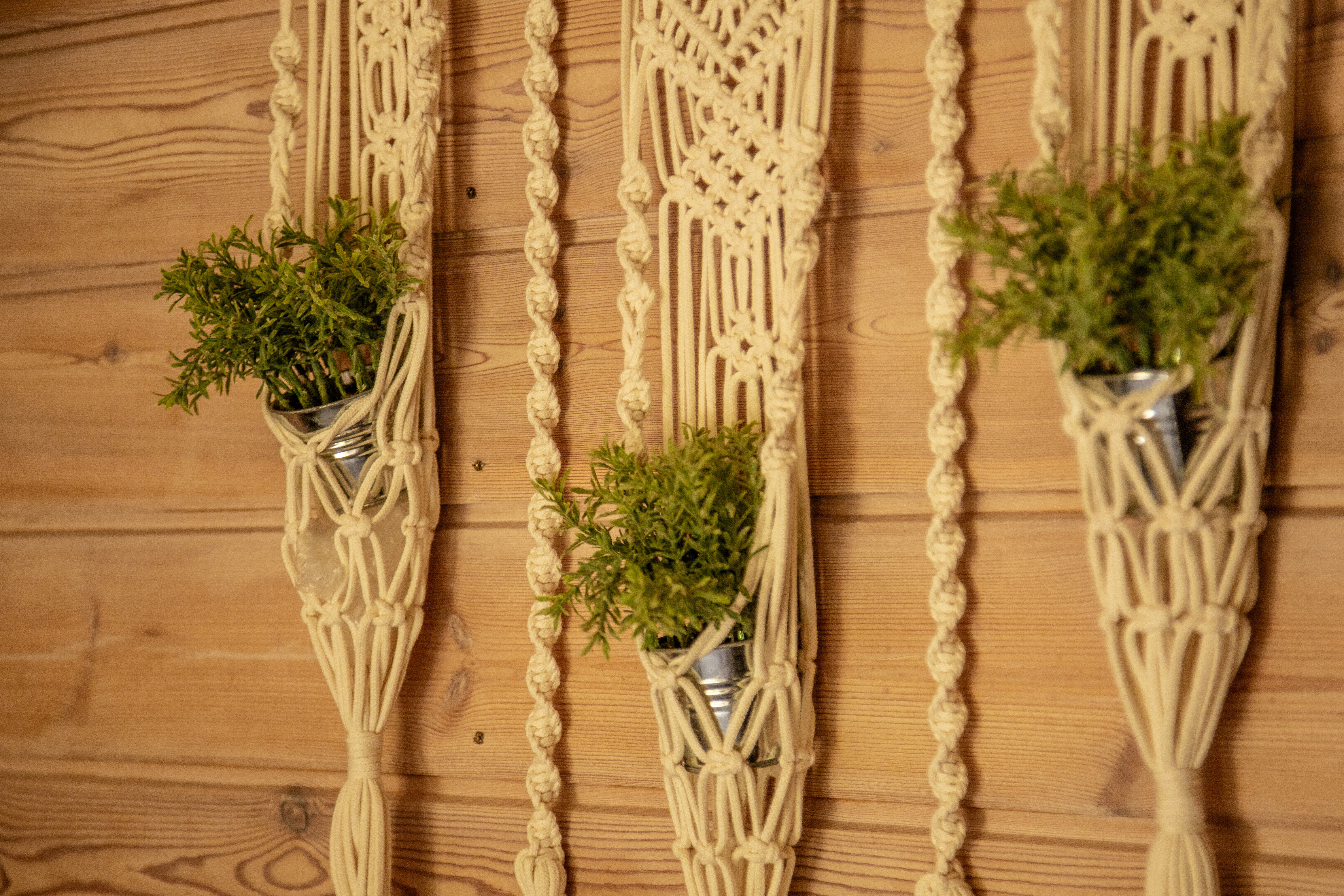 Фото Мельница