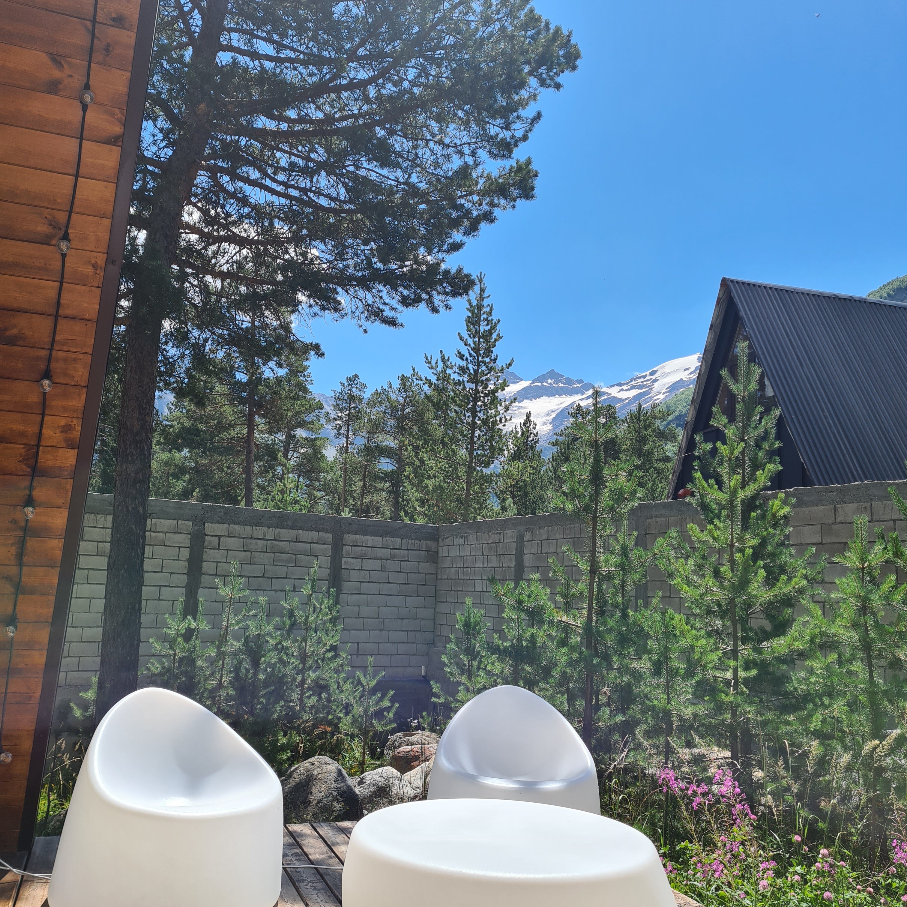 Фото Pine Wood Elbrus