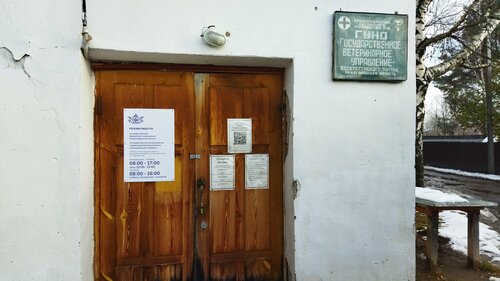 Стюардесса оның түкті кискасының суретін көрсетті.