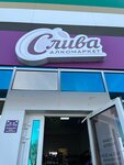Слива (проспект Победы, 315) ، المشروبات الكحولية