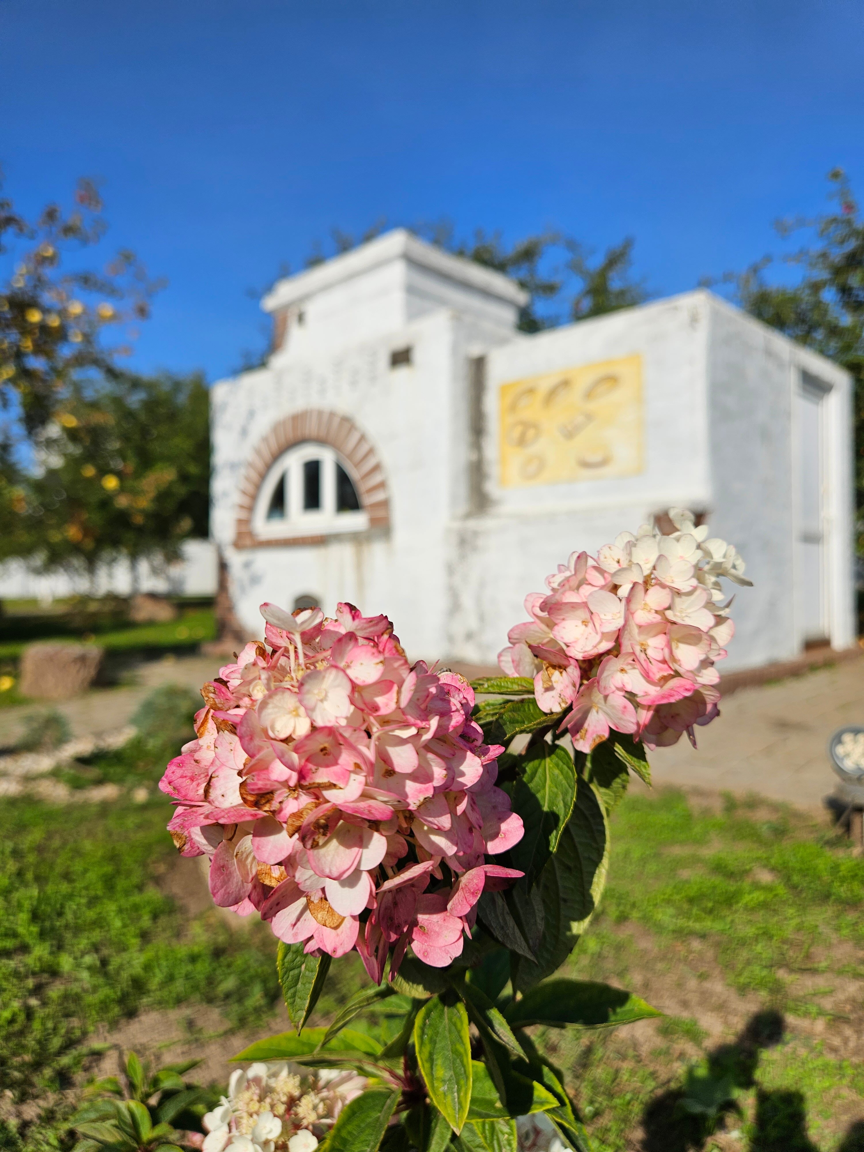 Фото Форест