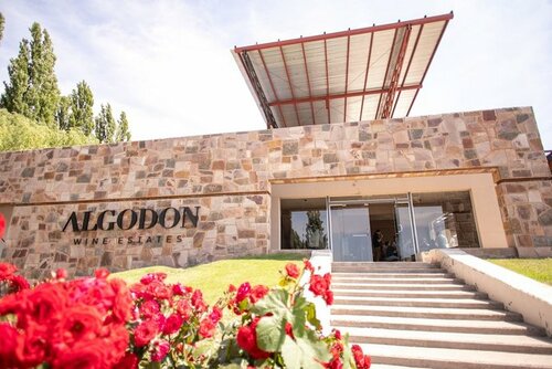 Гостиница Algodon Wine Estates