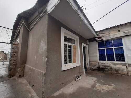 Kattalar porno filmida