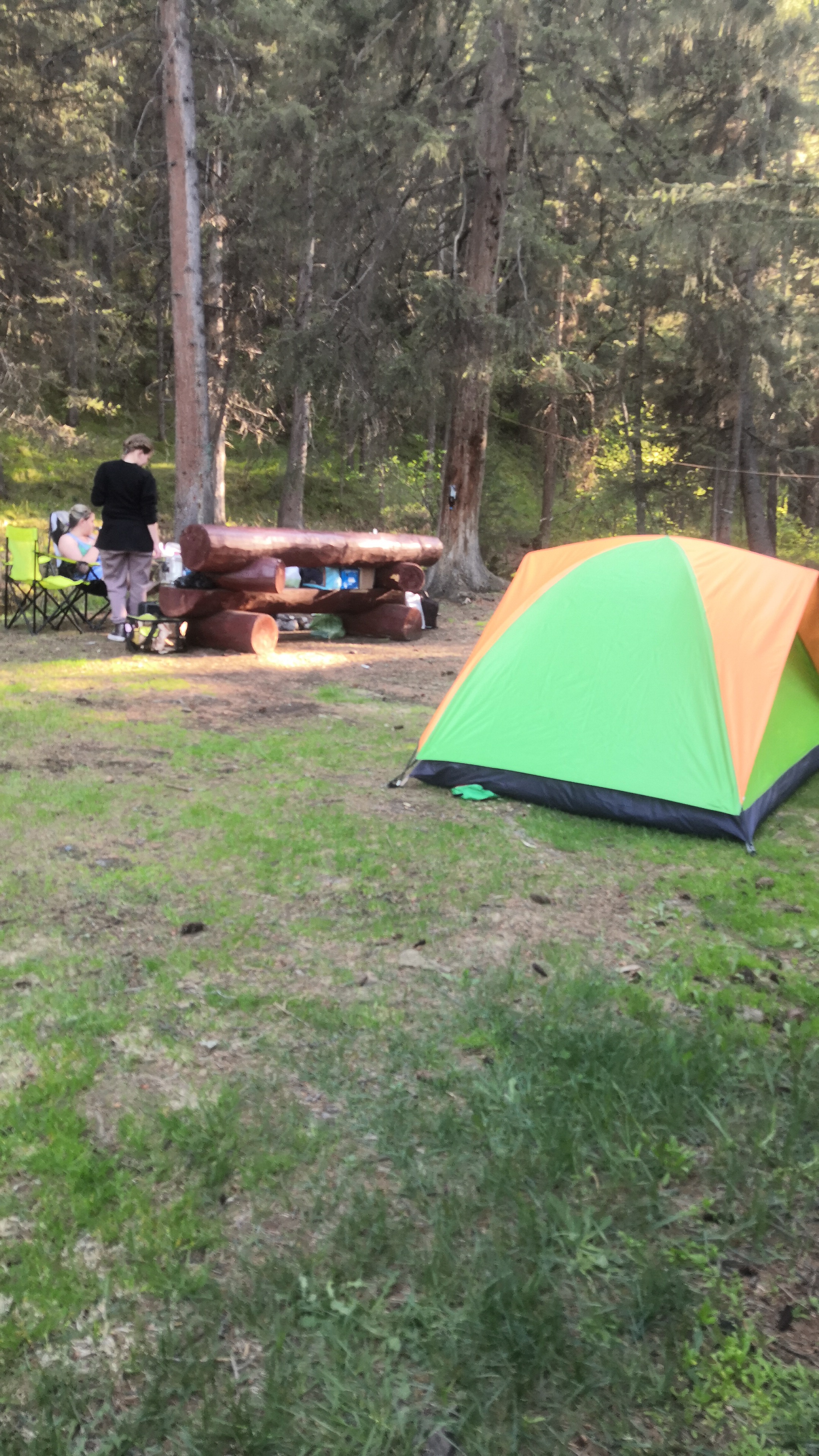 Фото Зелёный колобок