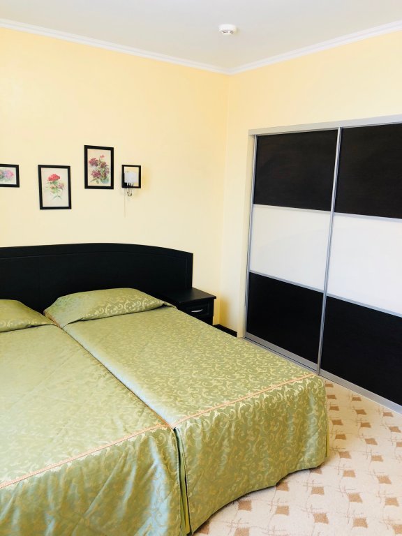 Фото Платан