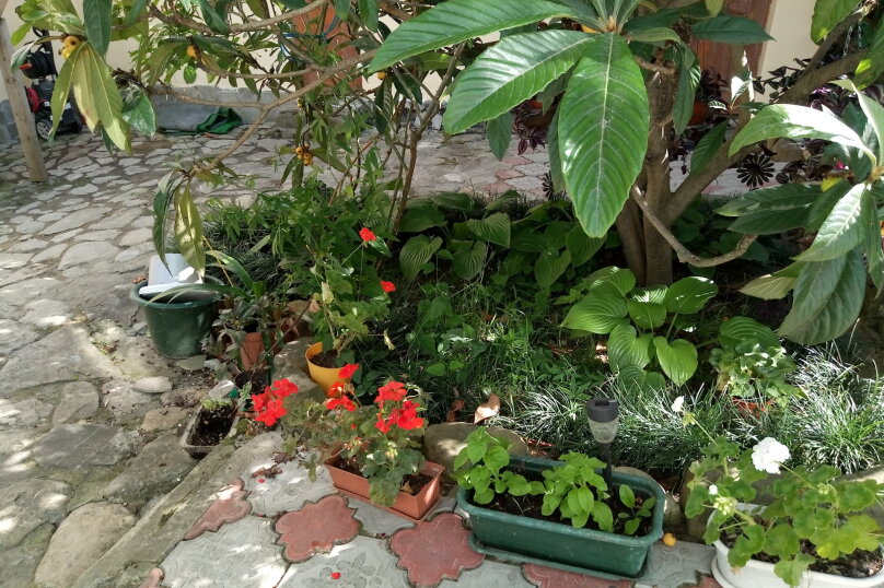 Фото Фазенда