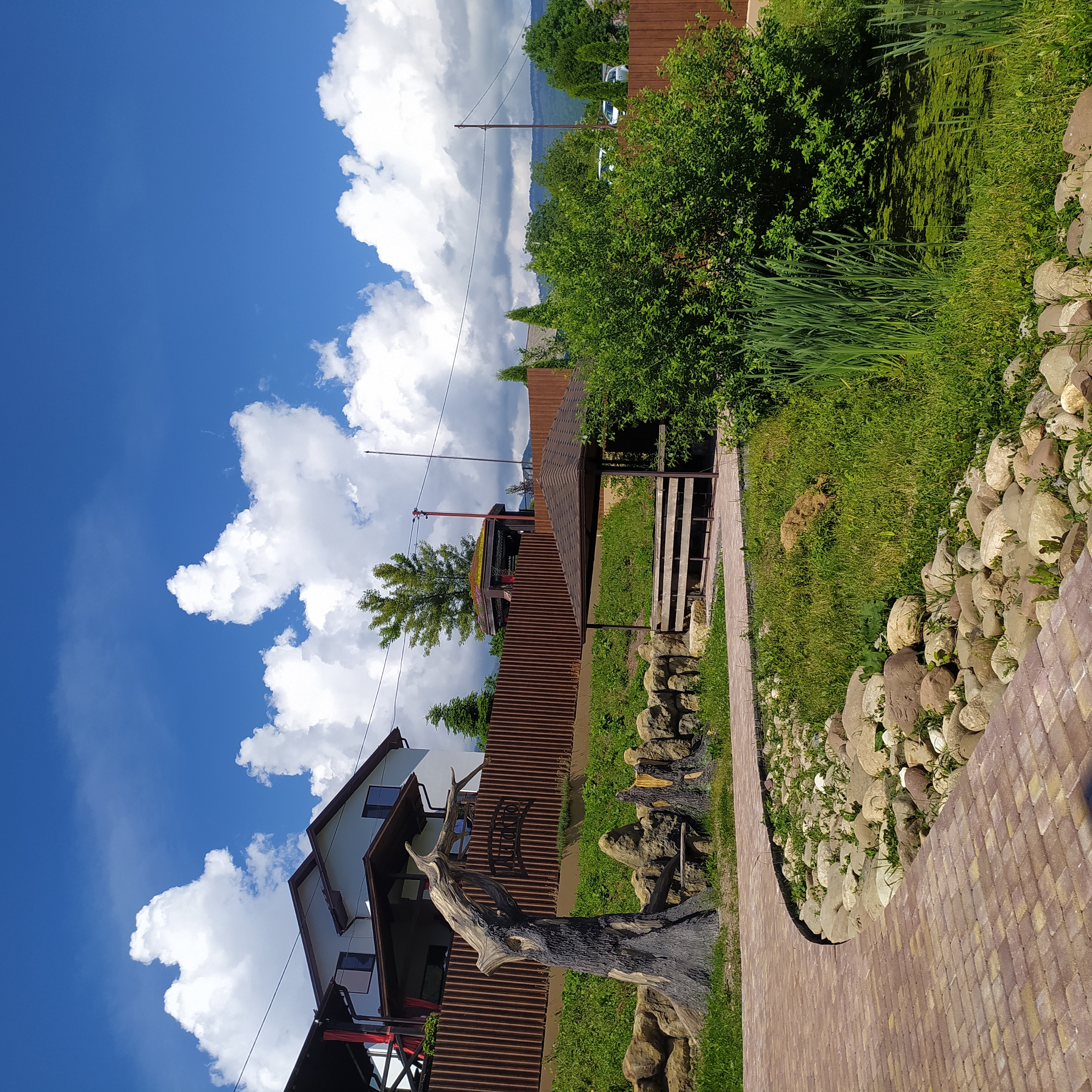 Фото АльтаРио