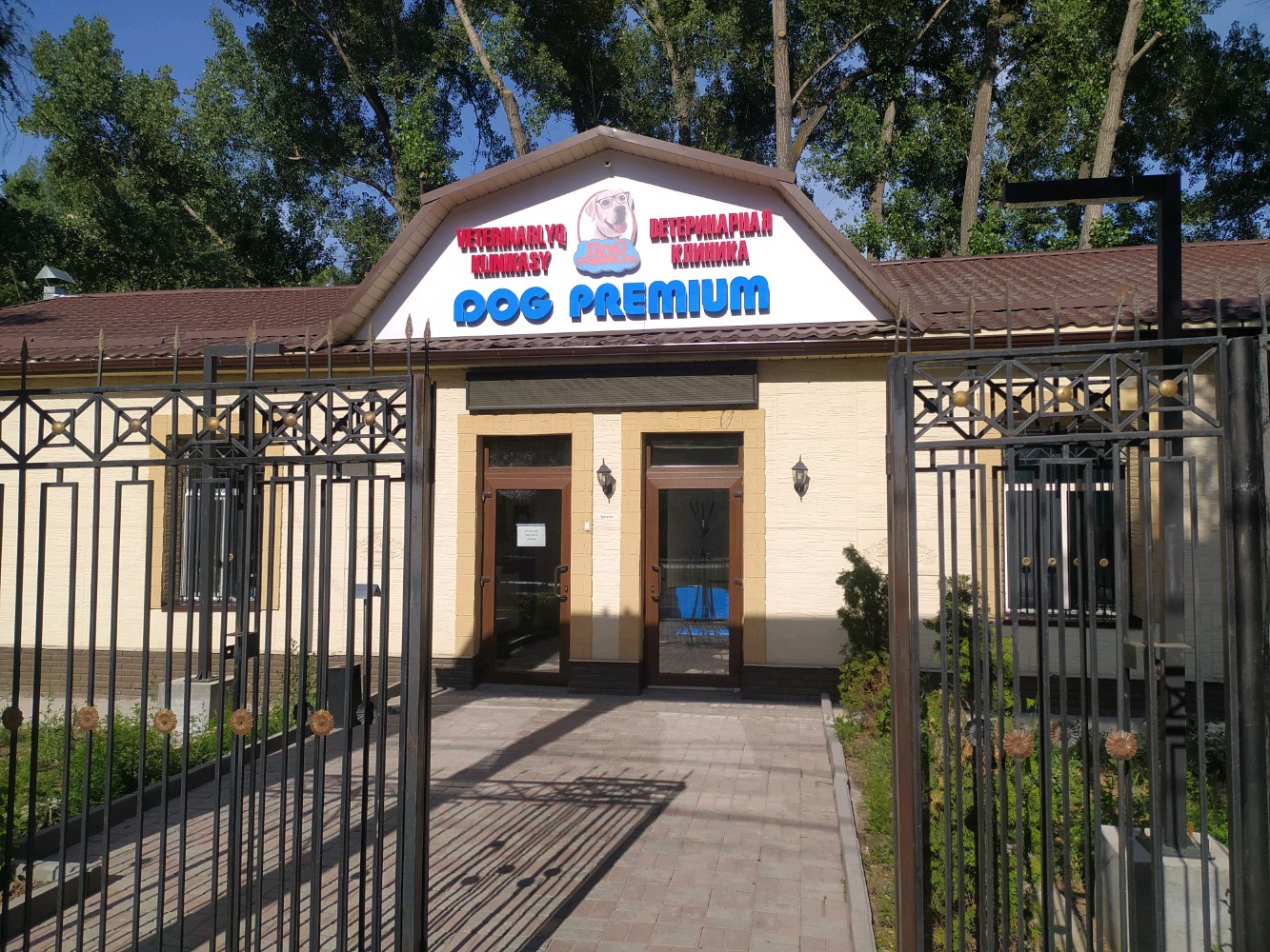 Бір бөліктен тұратын купальниктегі жапон әйелдері