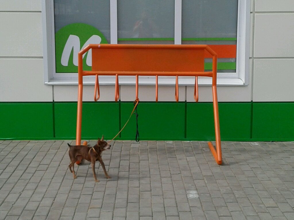 Велопарковка Велопарковка, Верхняя Салда, фото