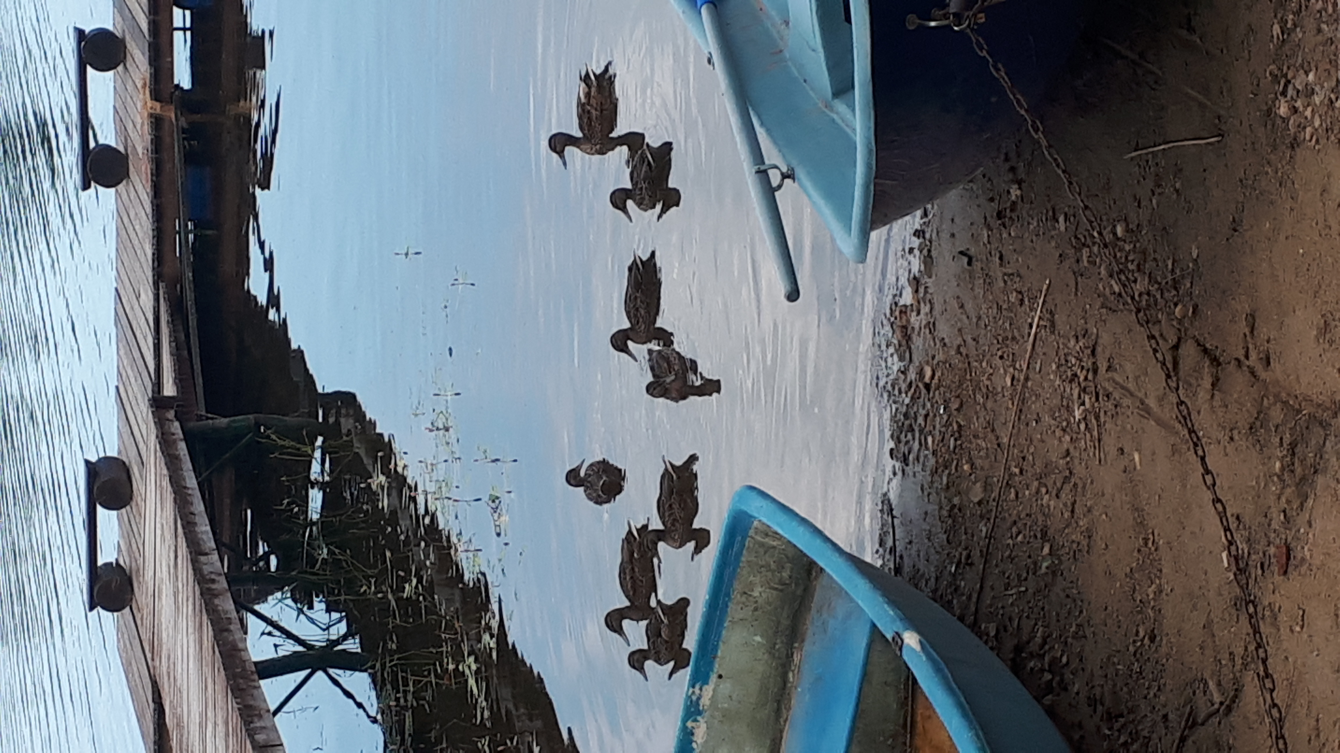 Фото Яр-Селигер