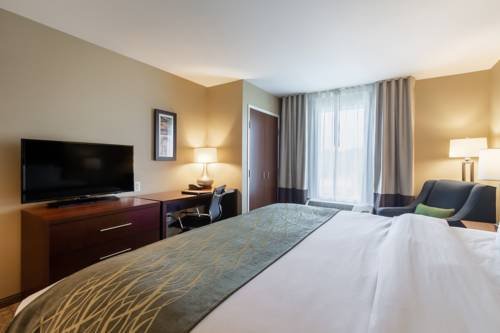 Фото Comfort Inn & Suites – Harrisburg Airport – Hershey South