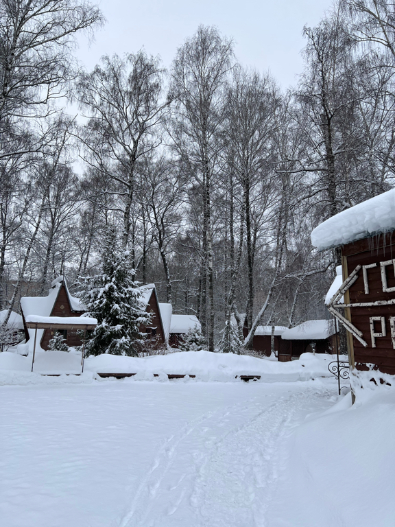 Фото Русский лес