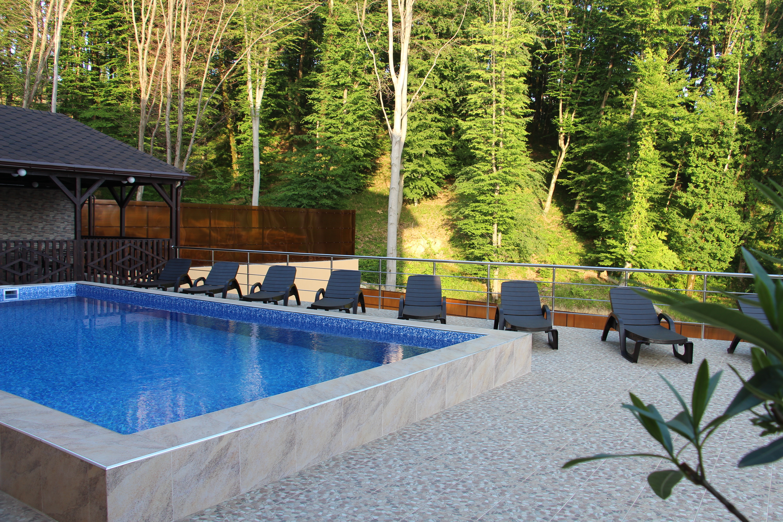 Фото Возрождение