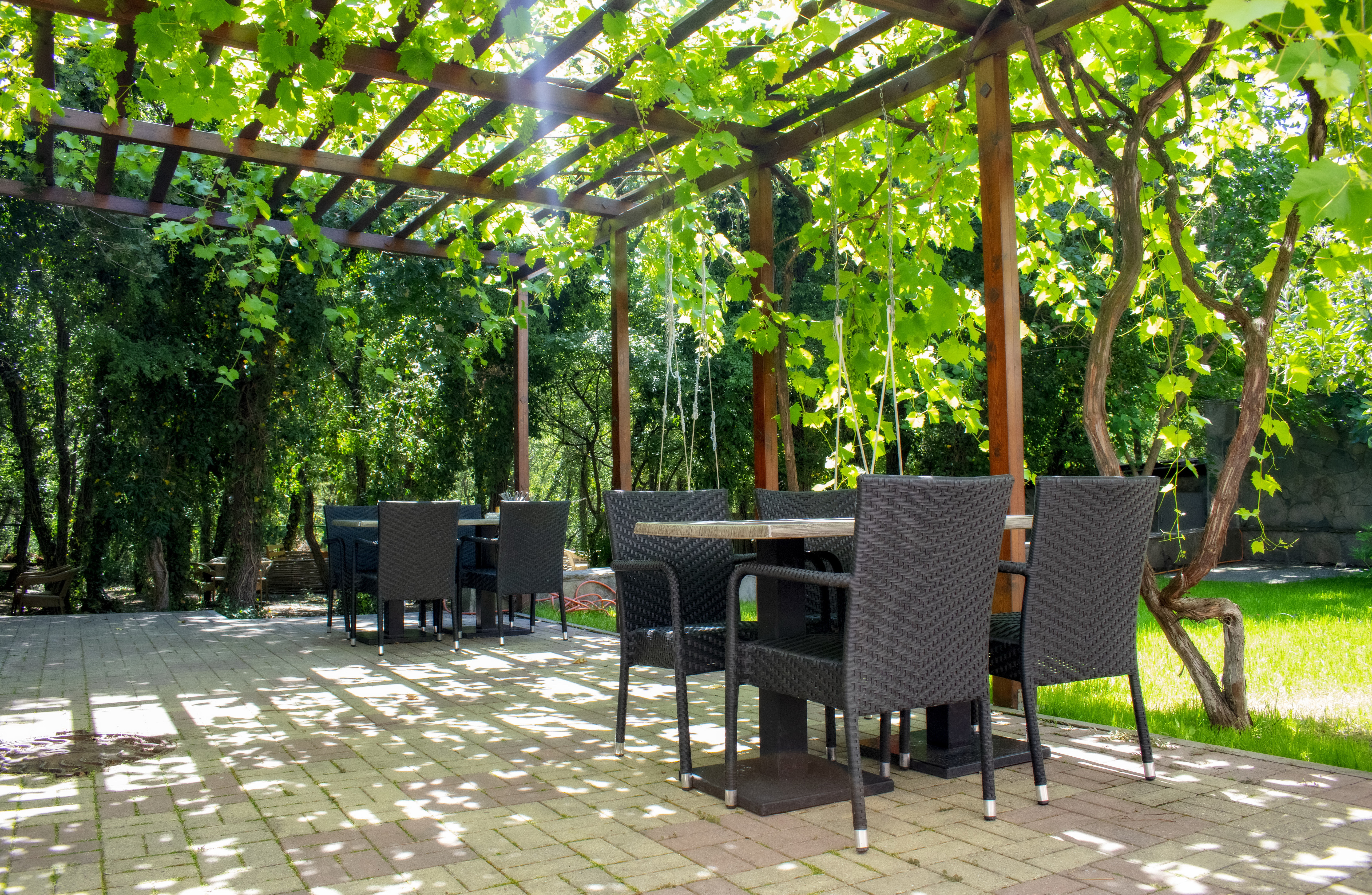 Фото Лесной