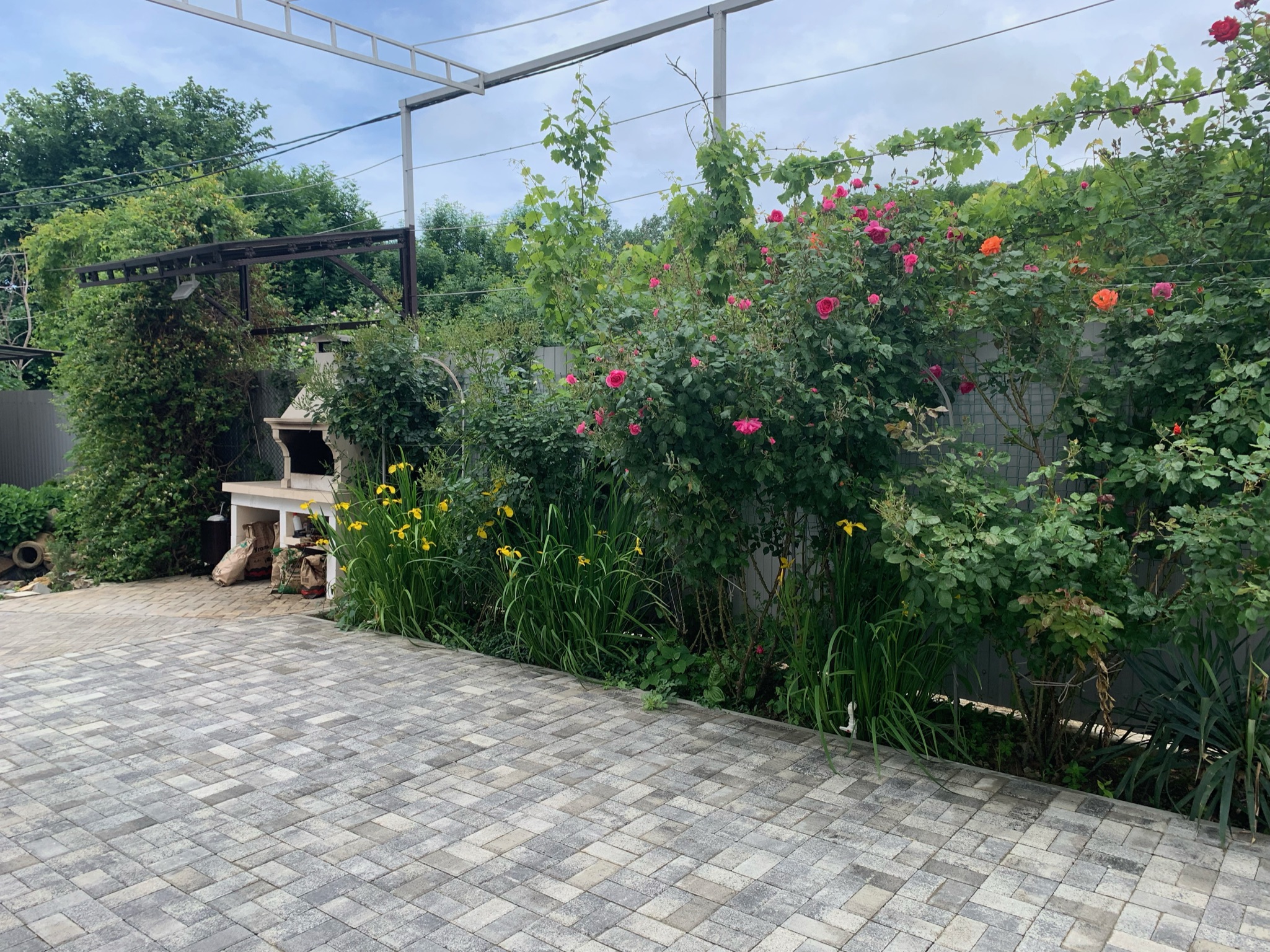 Фото Джулия