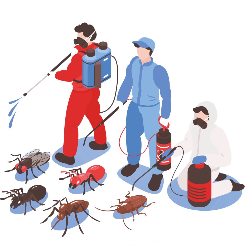 Дератизация и дезинсекция презентация