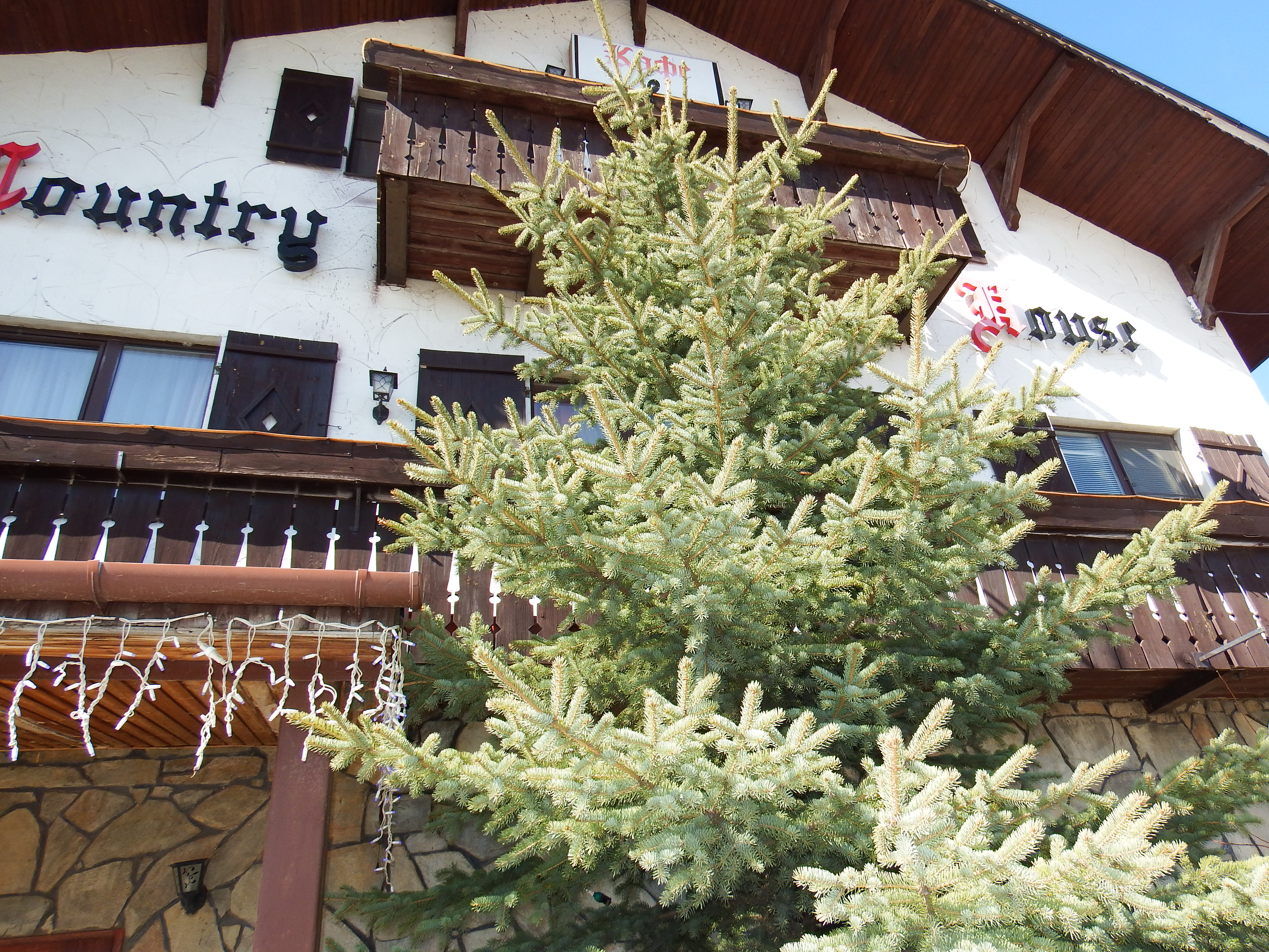 Фото Country House