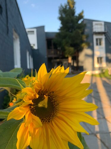 Внешний вид отеля Подснежник в Аршане, фото 2