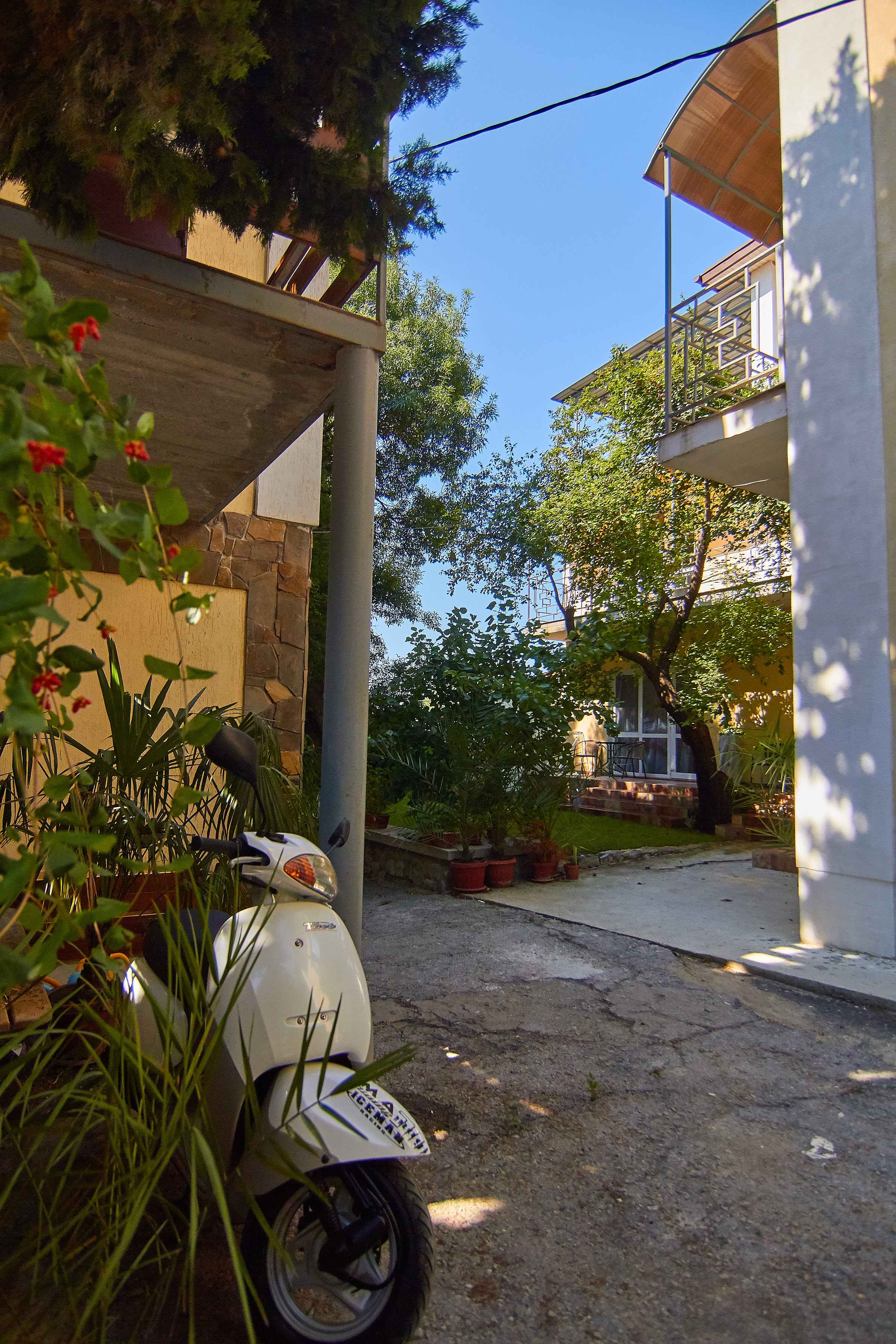 Фото Большая медведица