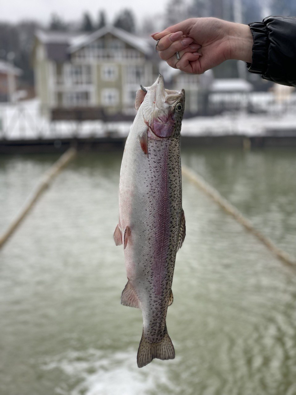 Фото Бабин Двор