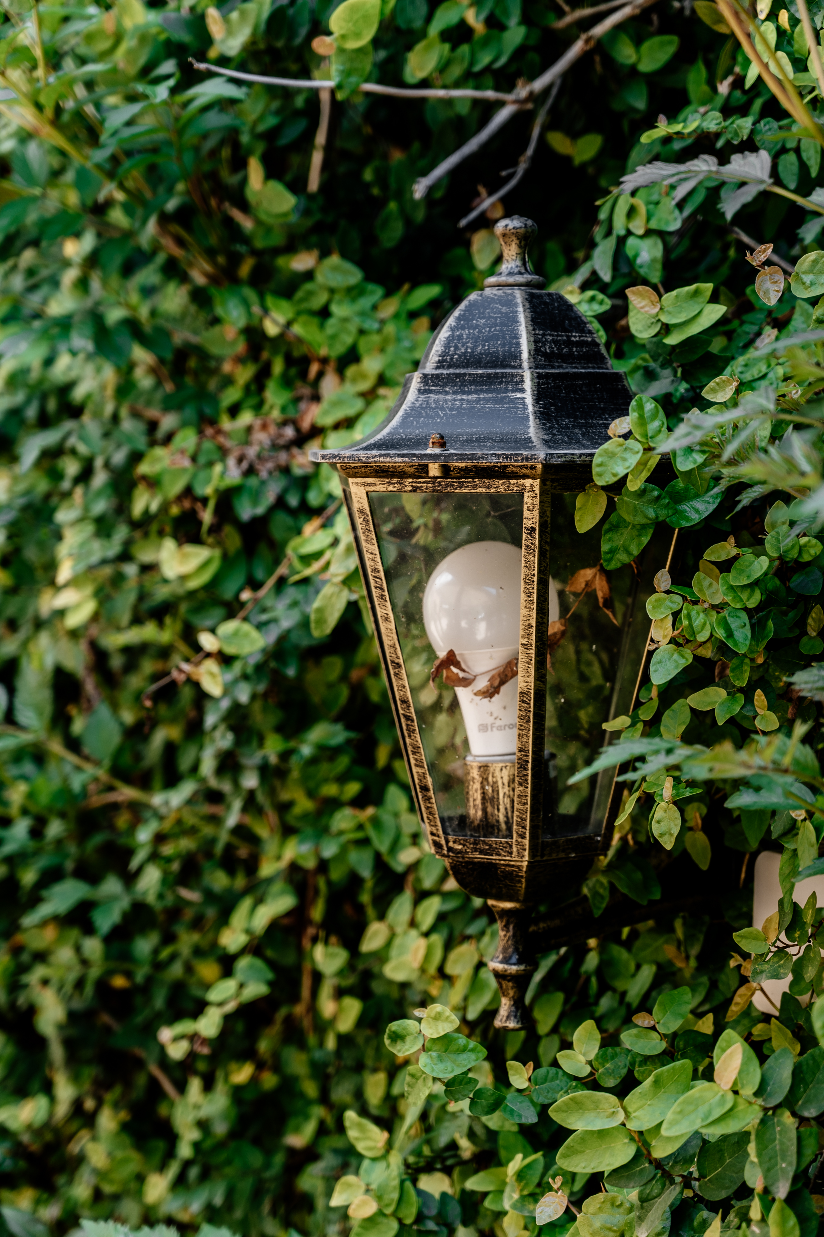 Фото Талассо