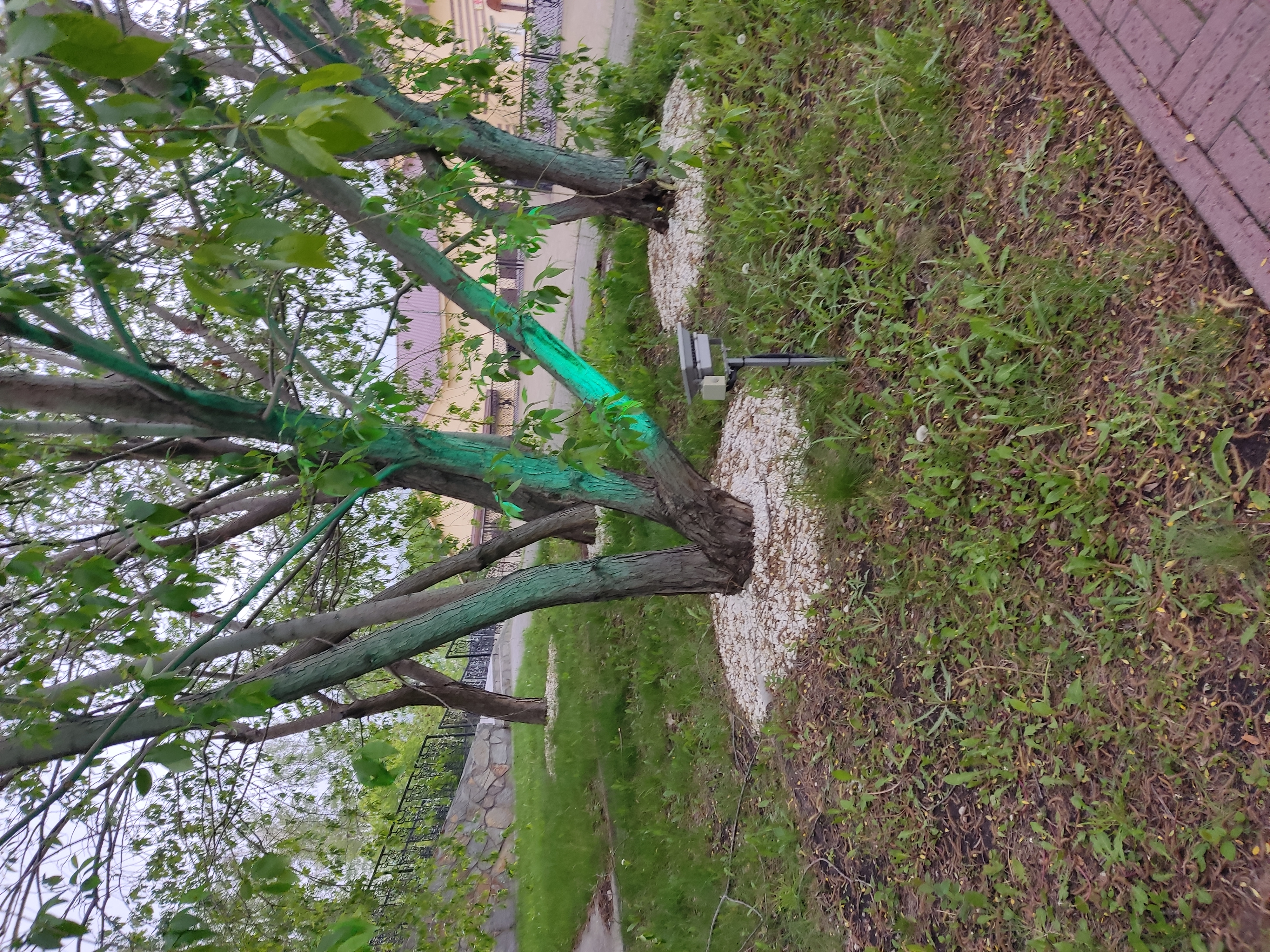 Фото SmolinoPark