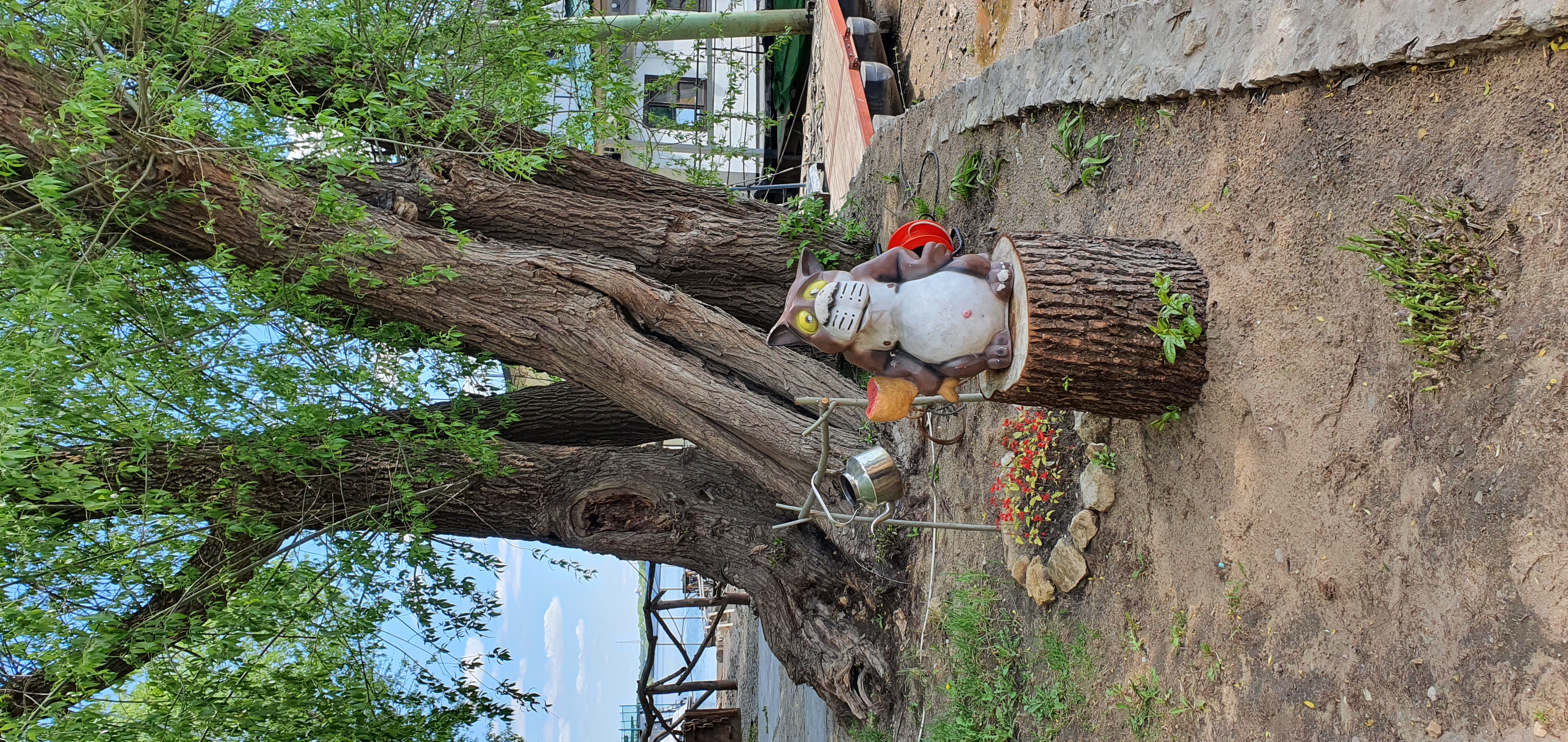 Фото Мастер