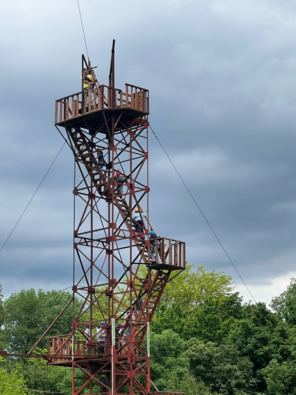 Фото Светлячок