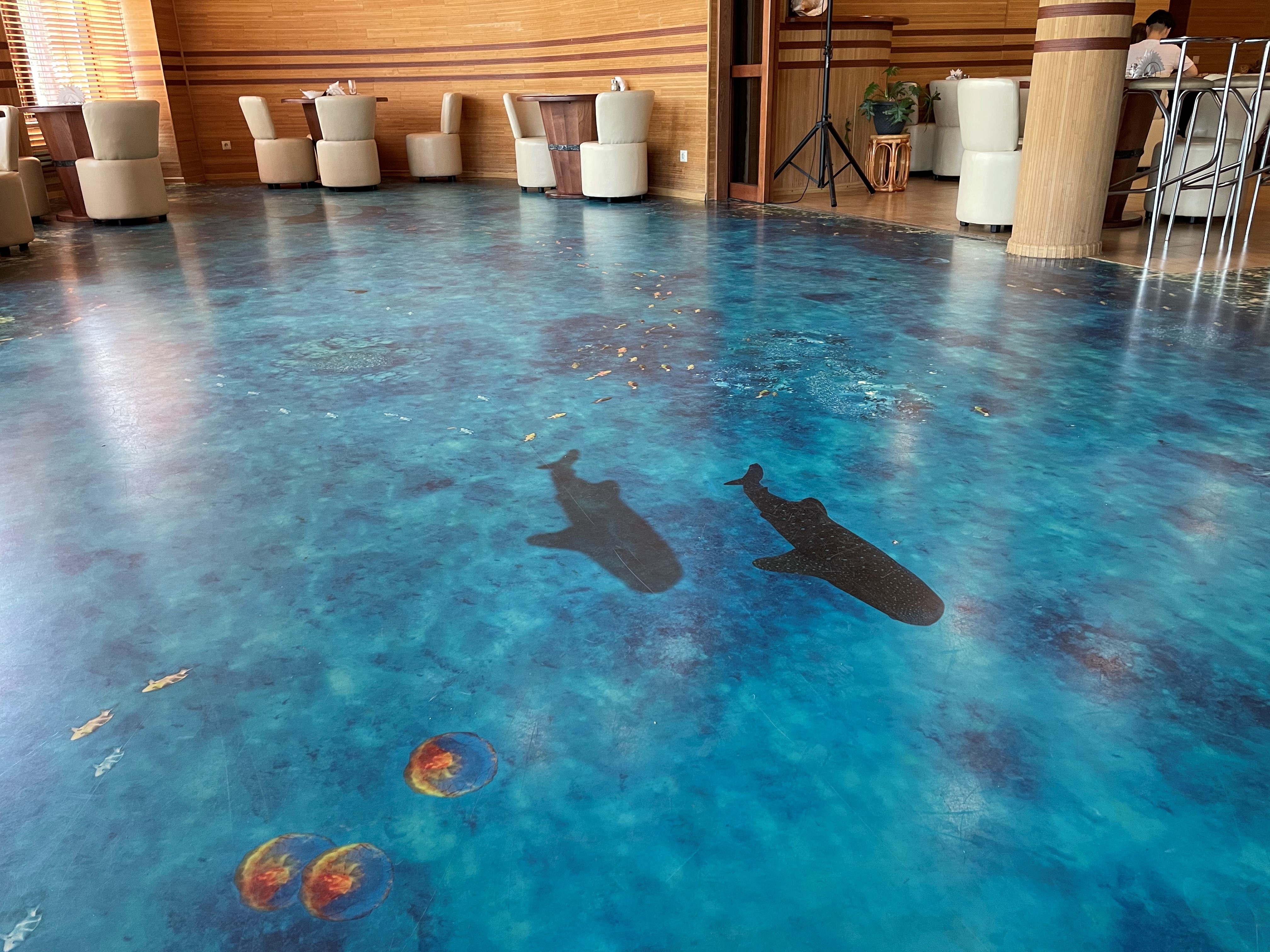 Фото Наутилус