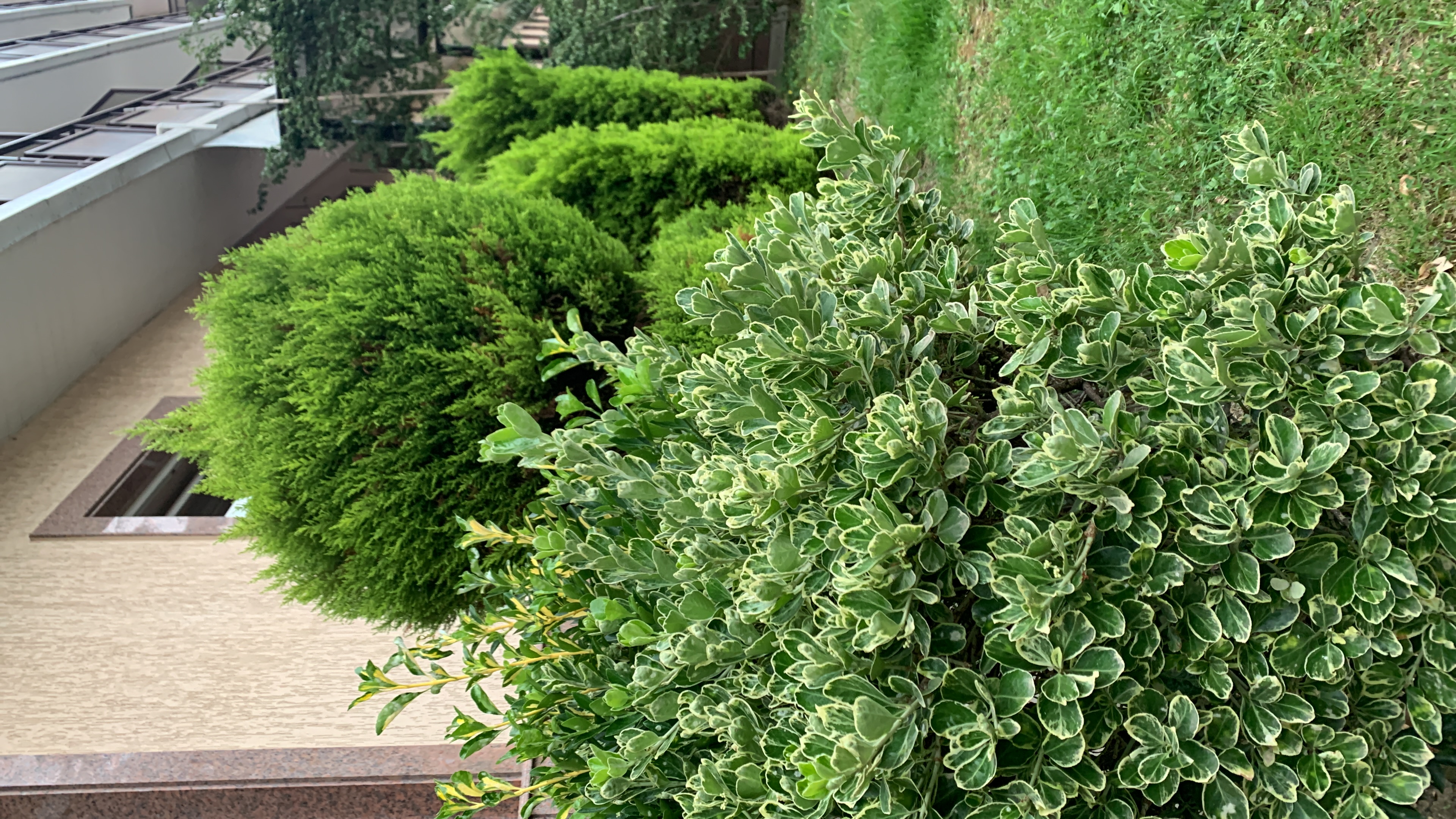 Фото Сан-Марина