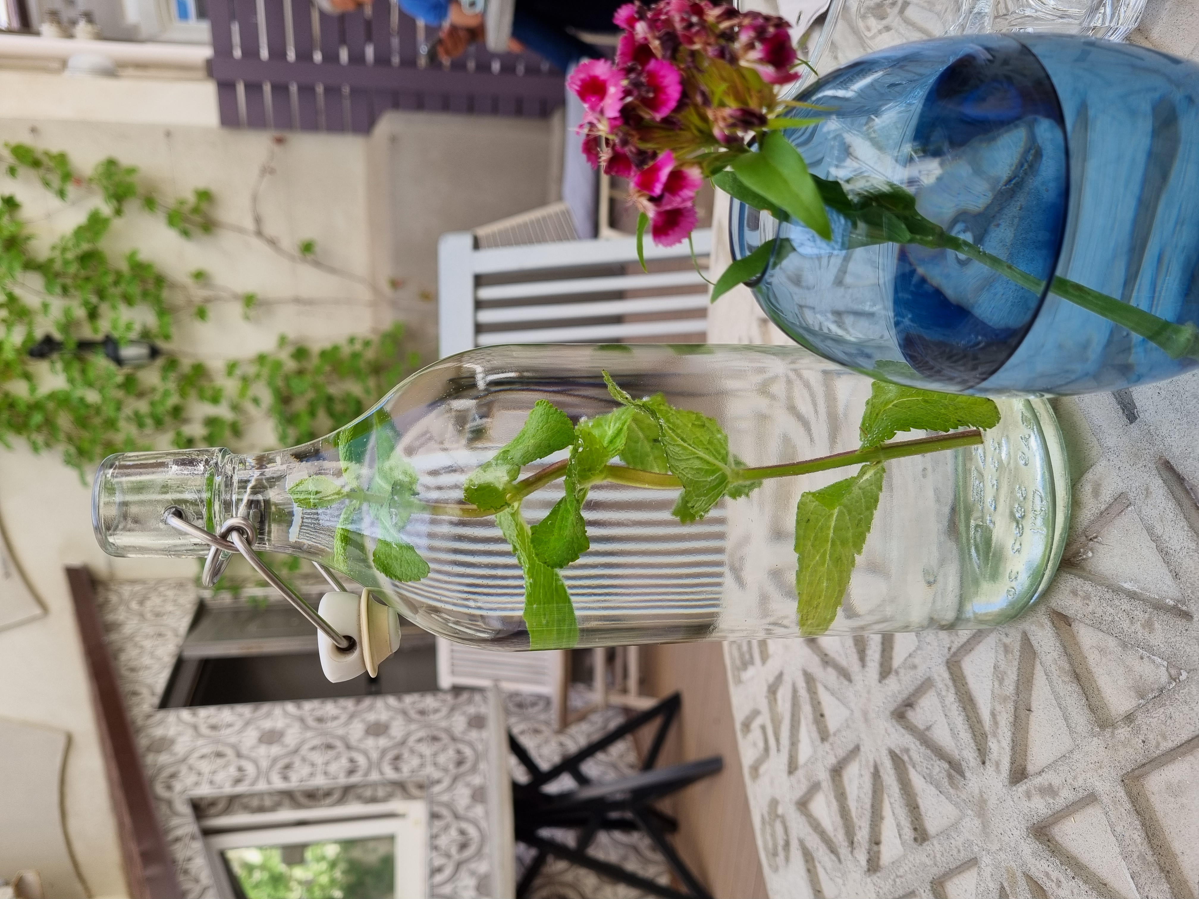 Фото Бонотель