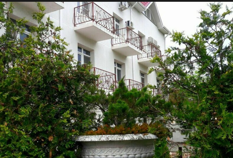 Фото Василина