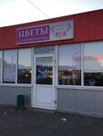 Цветы (Severnoye shosse, 15), floristeria