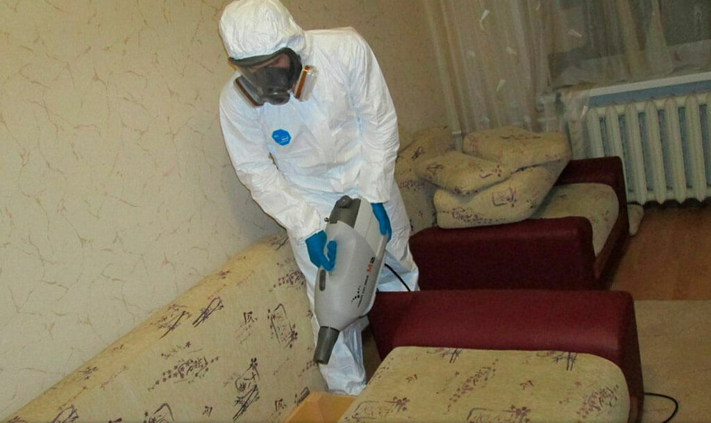 Выезд дезинсектора в Новоалтайске - Обеззараживание помещения - Разное: 11 дезин