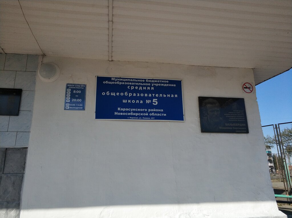 School МБОУ Средняя общеобразовательная школа № 5 Карасукского района Новосибирской области, Karasuk, photo