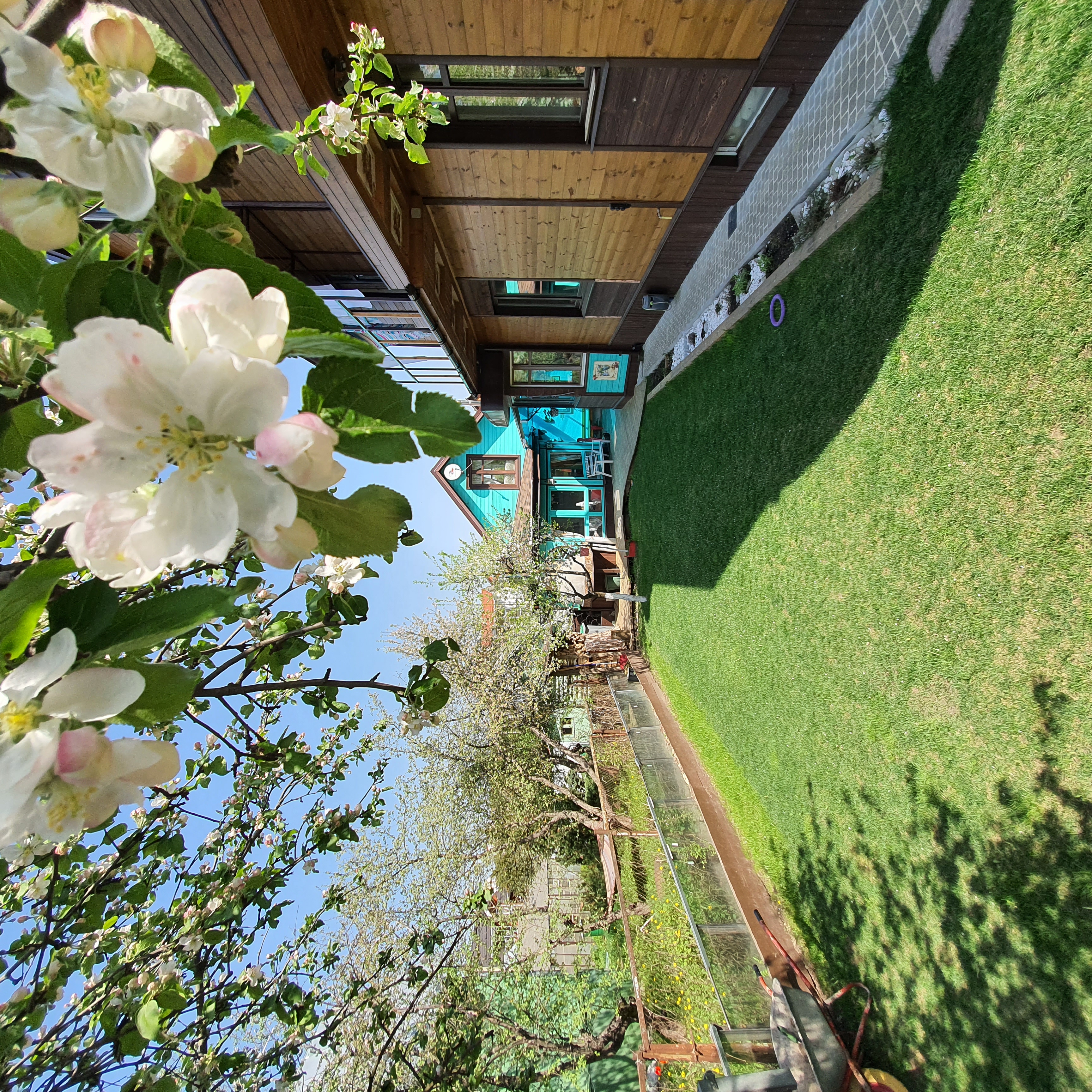 Фото Villa Daelia