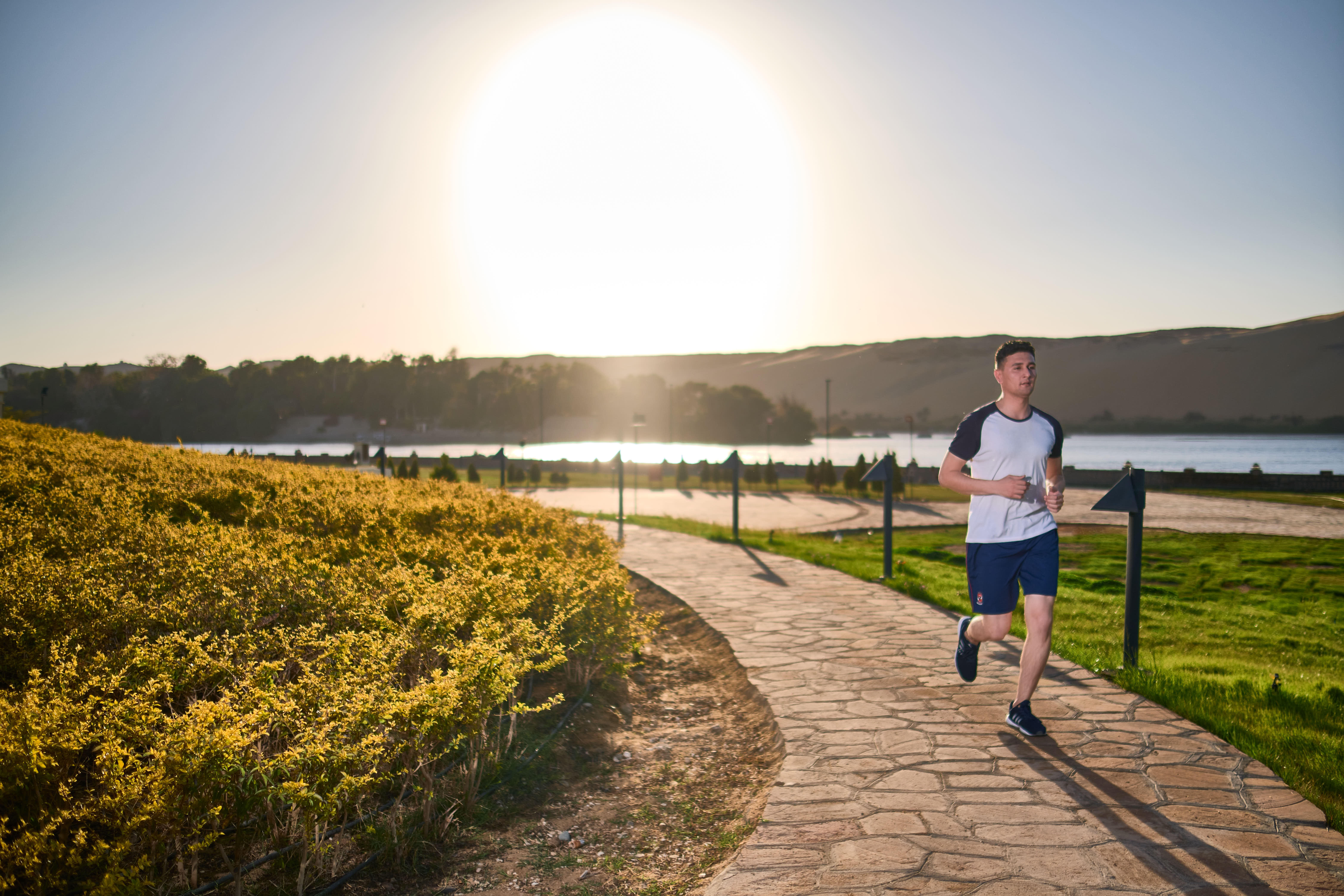 Фото Movenpick Resort Aswan