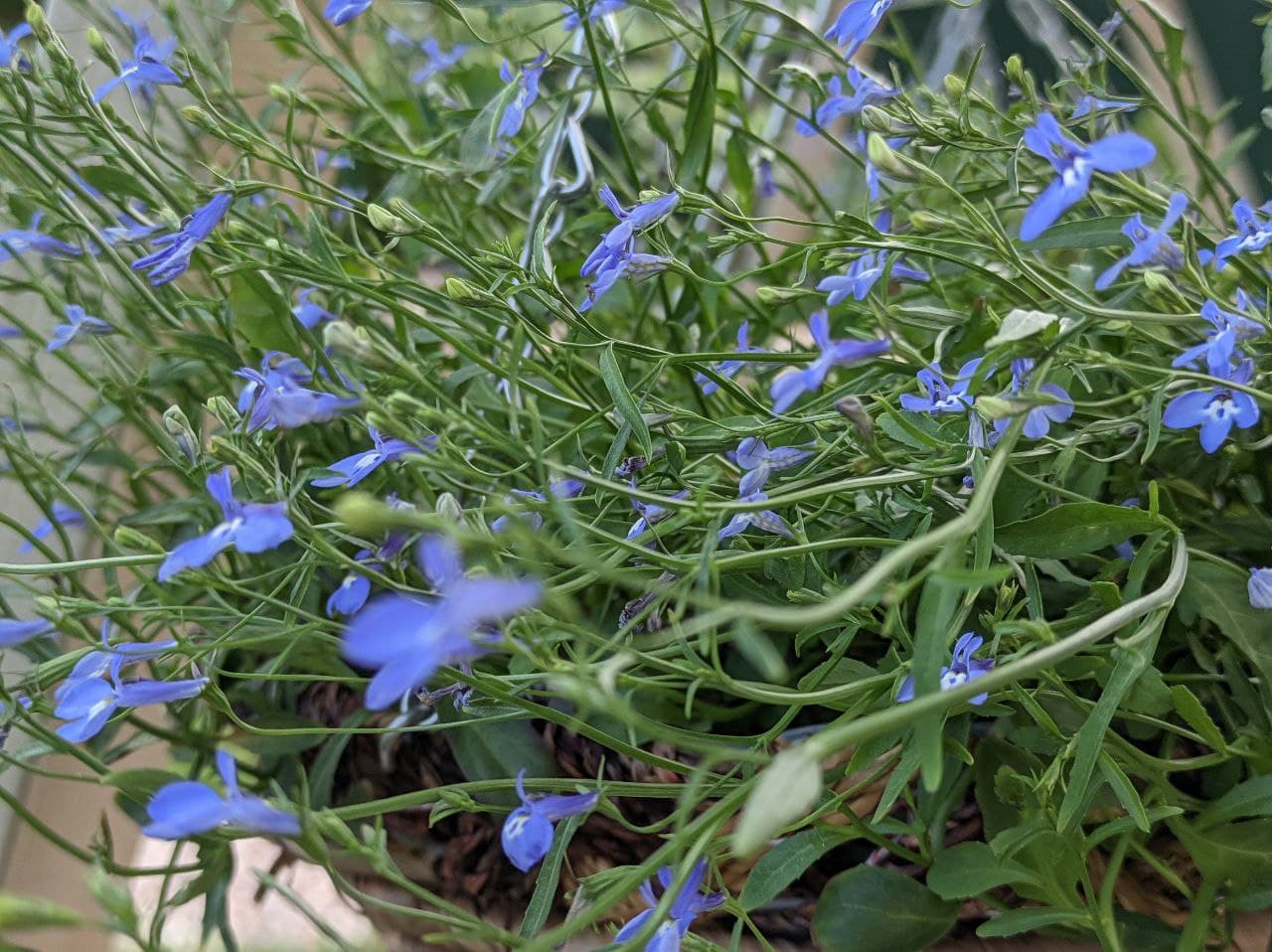 Фото Тихая гавань