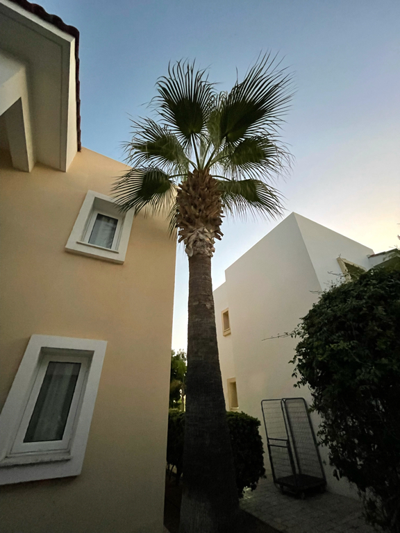 Фото Aktea Beach