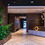 Metoplax (Moskovskiy Avenue, 24-26/49) ، طلاء زخرفي
