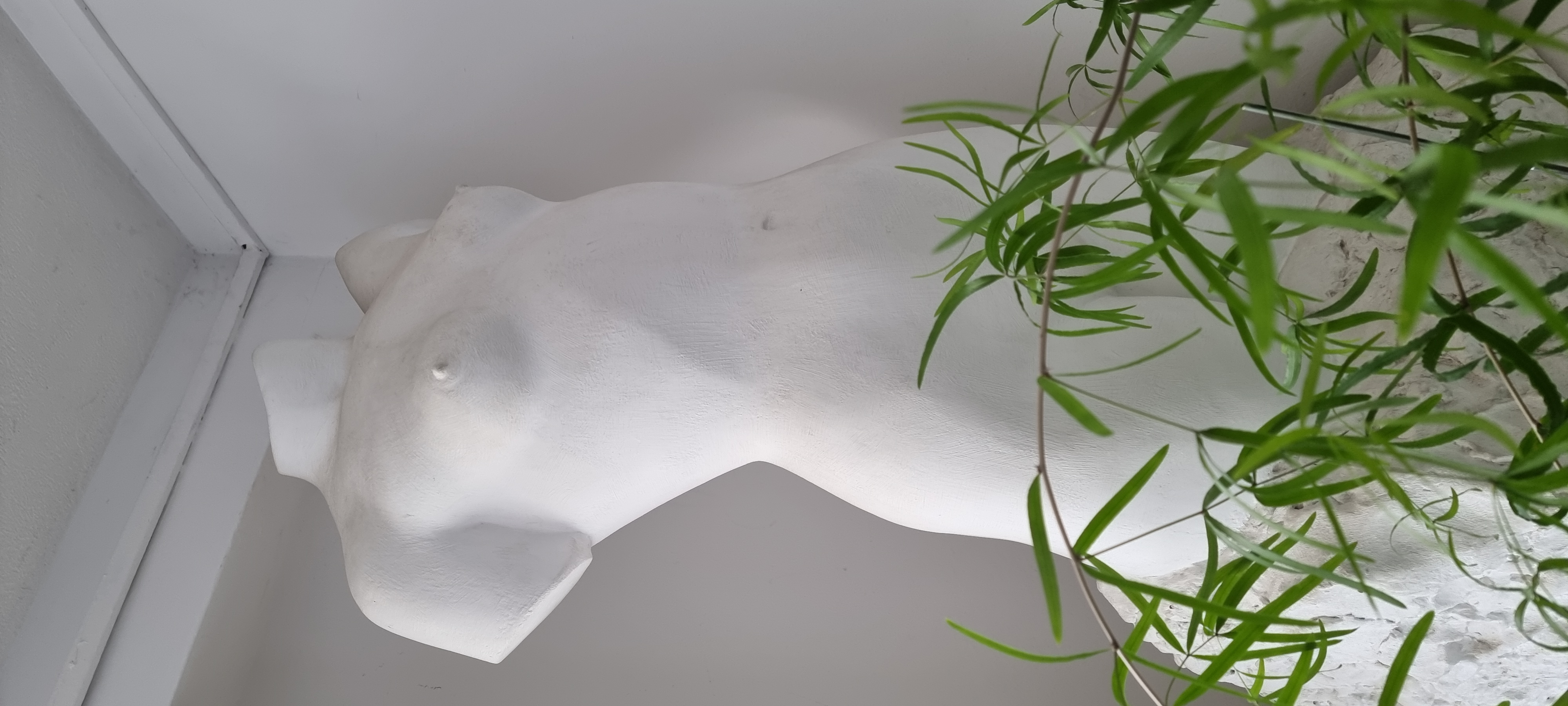 Фото Литвич