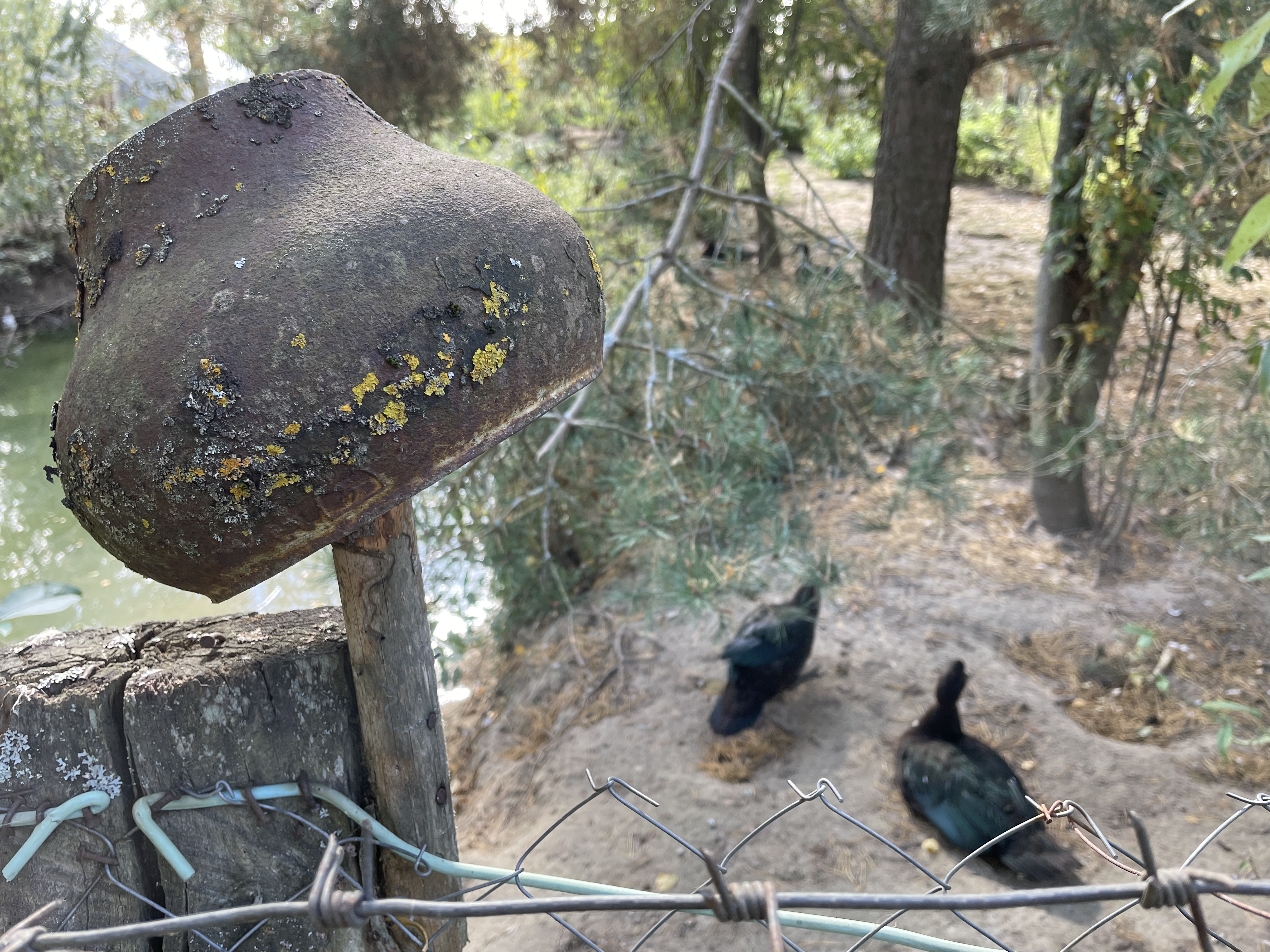 Фото Гагарин Лов