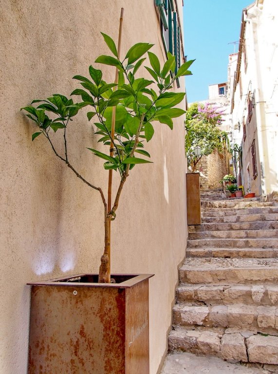 Фото Leonarda Baroque House - Old Town