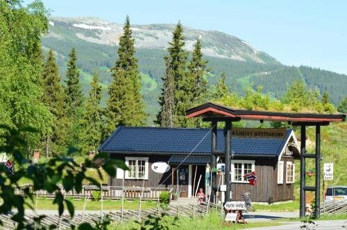 Гостиница Trysil Motel & Vandrerhjem