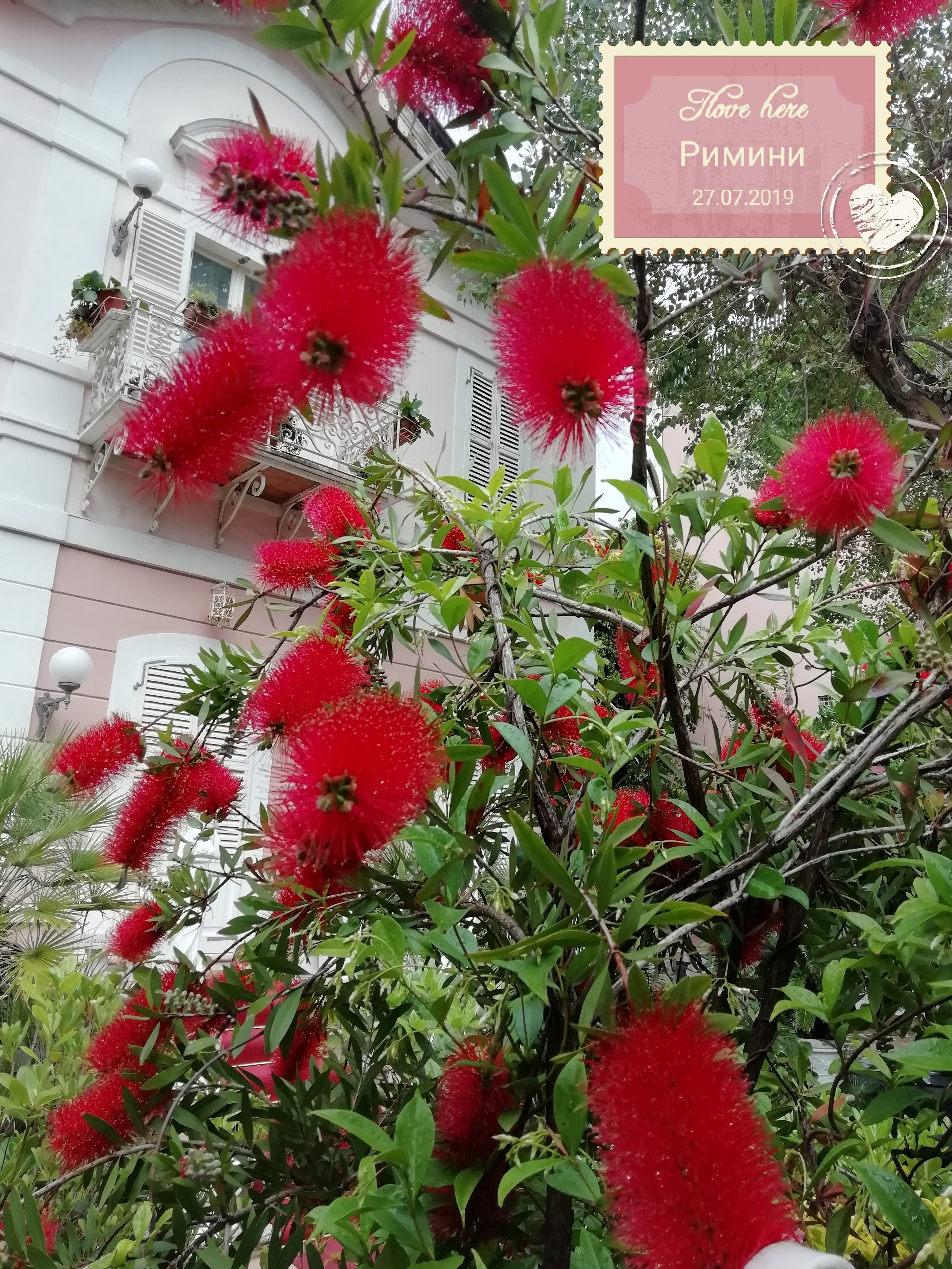 Фото Hotel La Perla Rimini