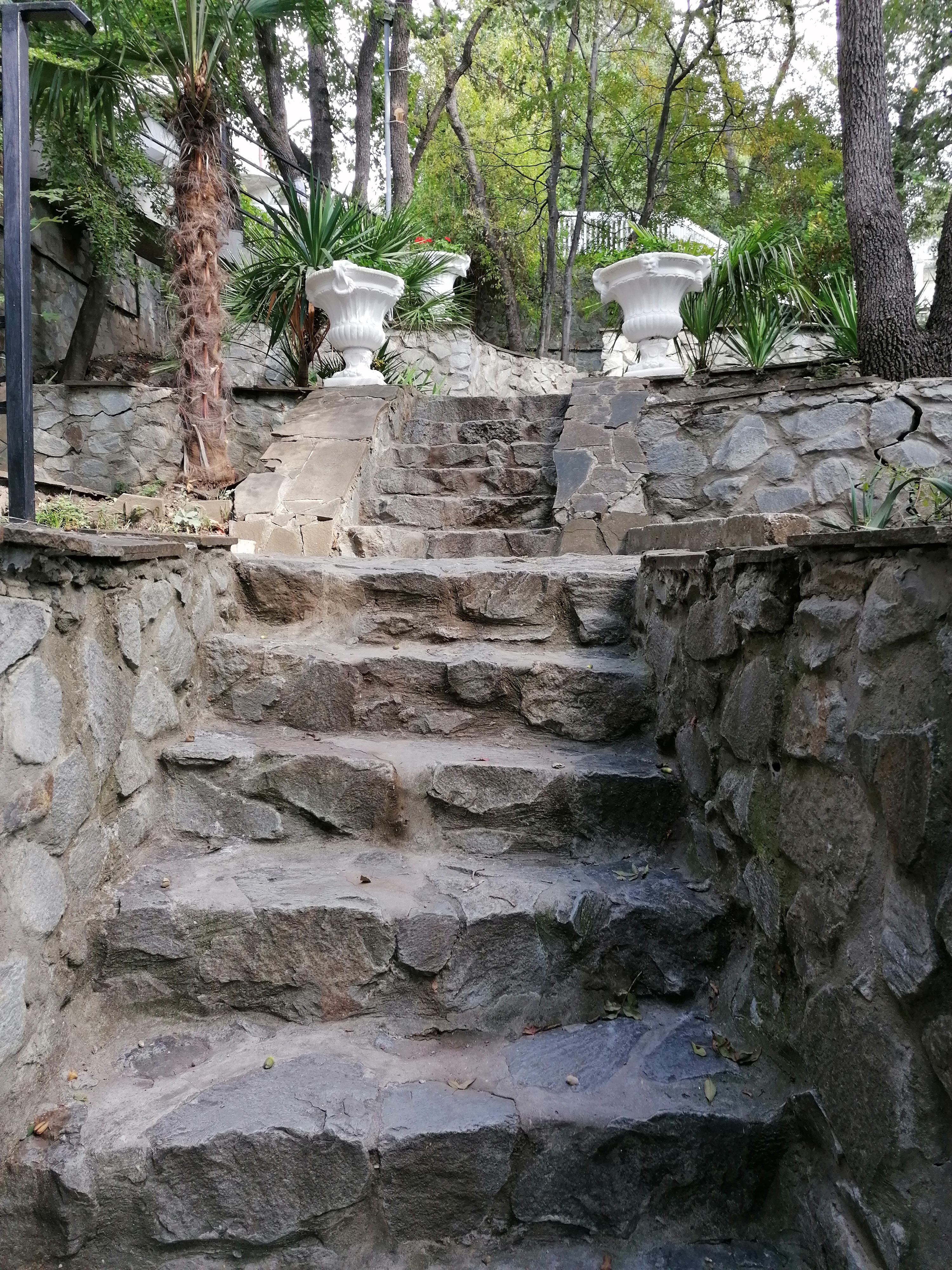 Фото Серсиаль