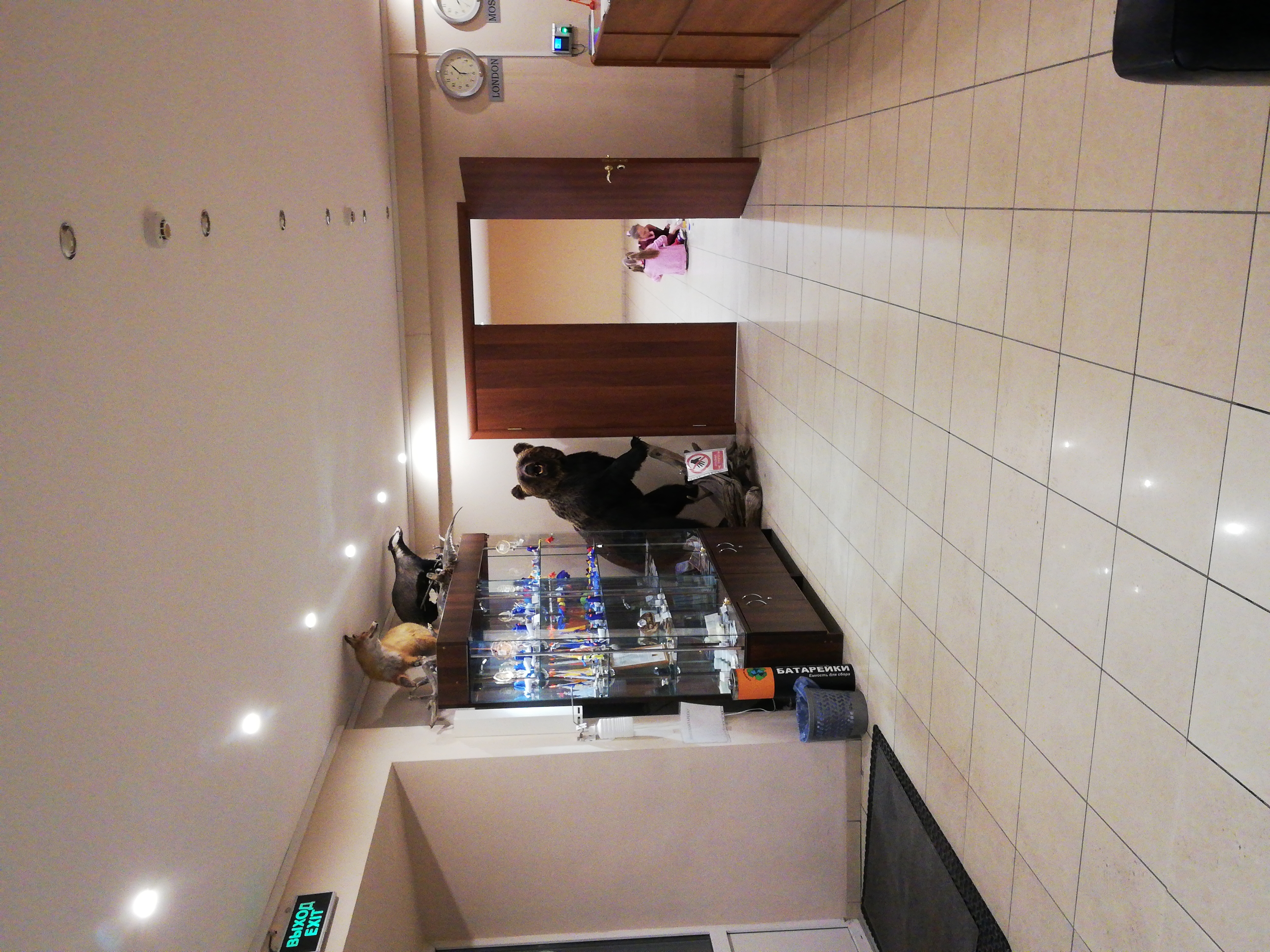 Фото Гандвик