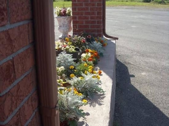 Фото Travelodge by Wyndham Rigaud